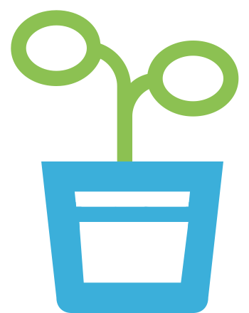seedling